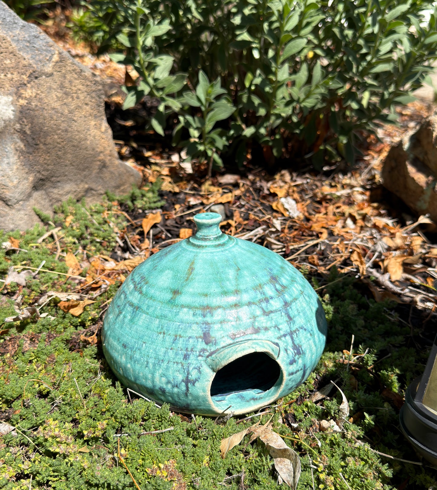 Toad house